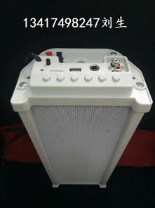 無線人體感應(yīng)定向有源講解音箱